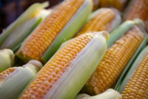 Potential Benefits of Eating Corn for Eye Health